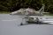 A-4 E-F SkyHawk -3.JPG